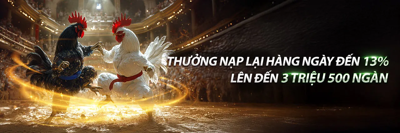 Đấu trường đá gà trực tuyến VIPBET