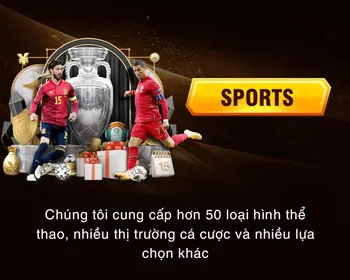 Hỗ trợ khách hàng VIPBET